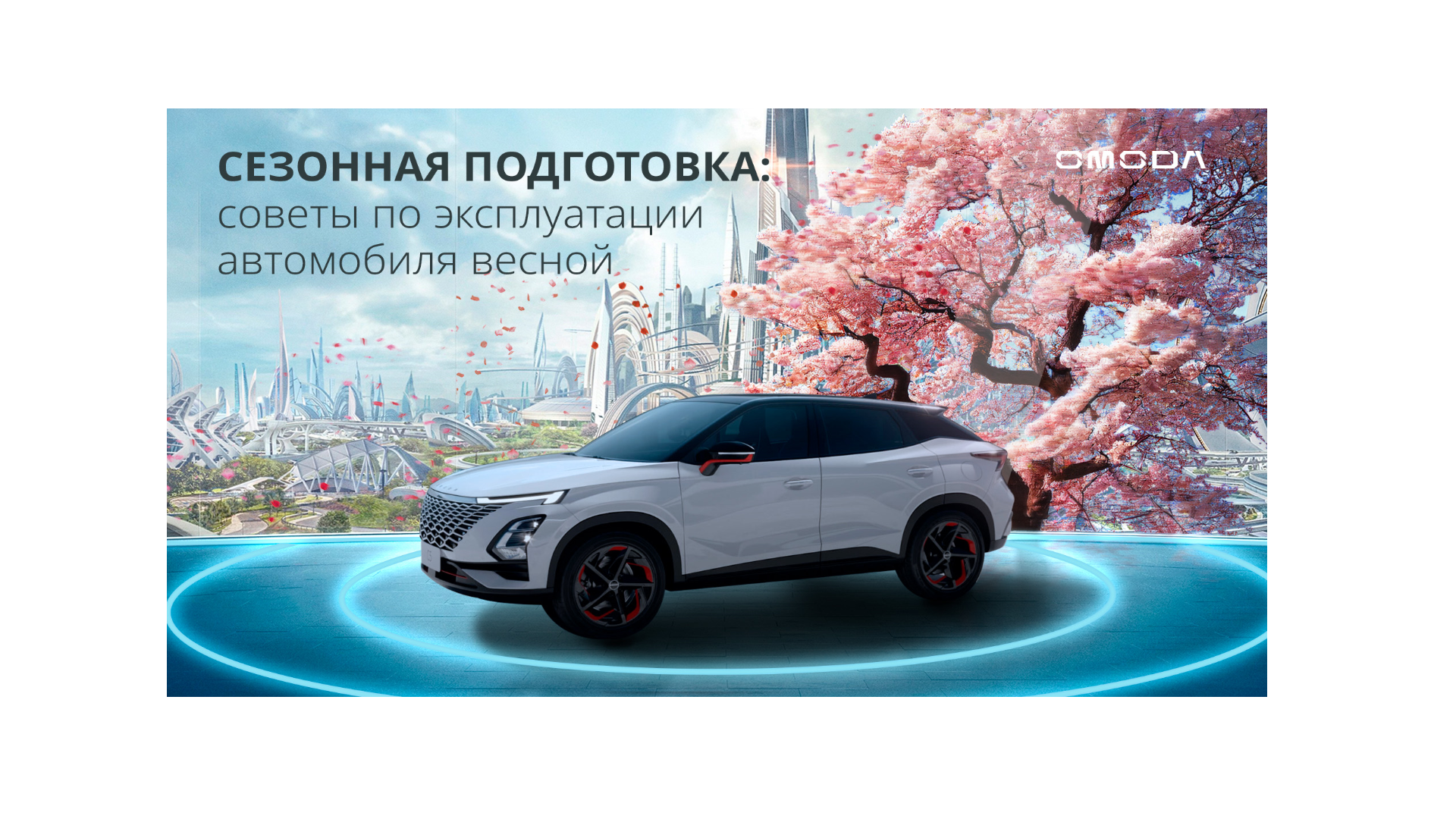 Сезонная подготовка