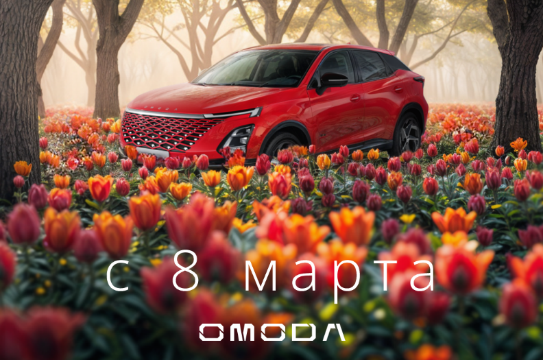 Дорогие дамы! 