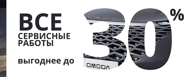 Сервисные работы с выгодой до 30%!