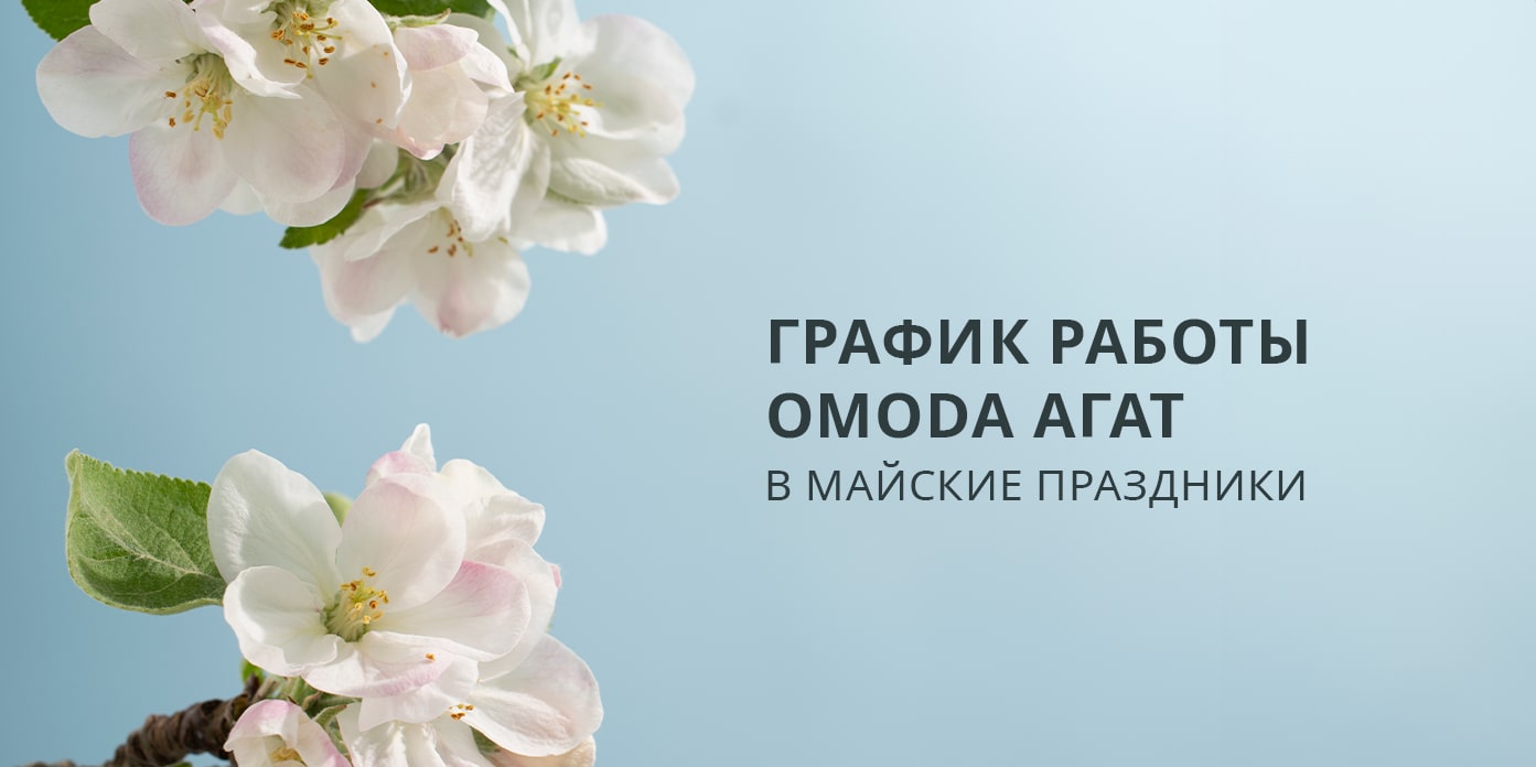 График работы дилерского центра в майские праздники