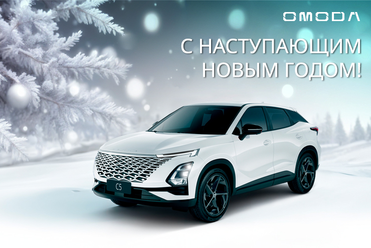 С наступающим Новым годом! 