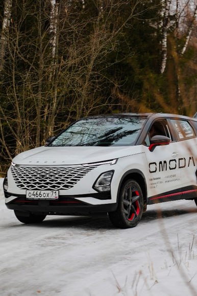 Как понять, подходит ли Вам OMODA