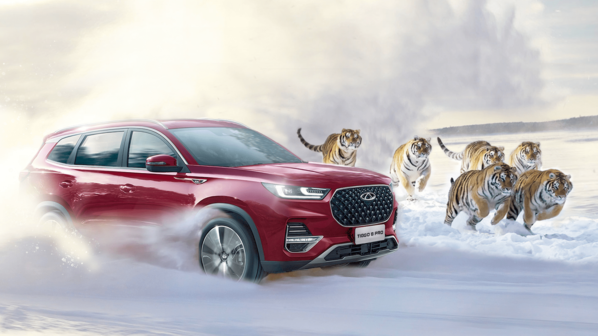 Как переводится Chery Tiggo: значение и особенности названия