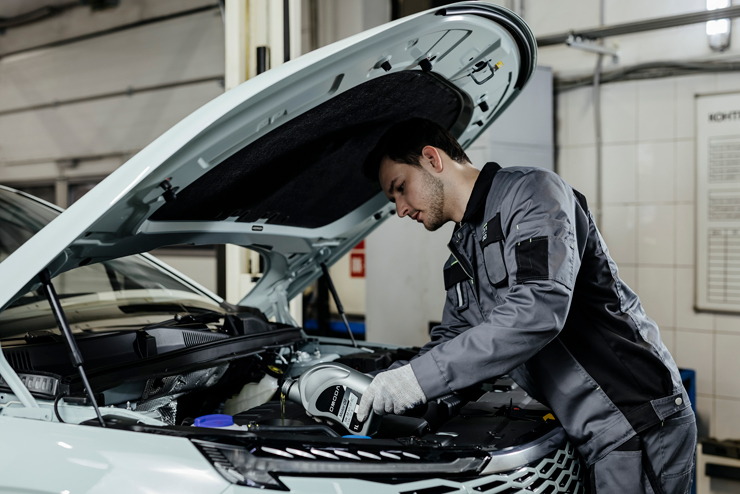 Лёгкое воскресенье