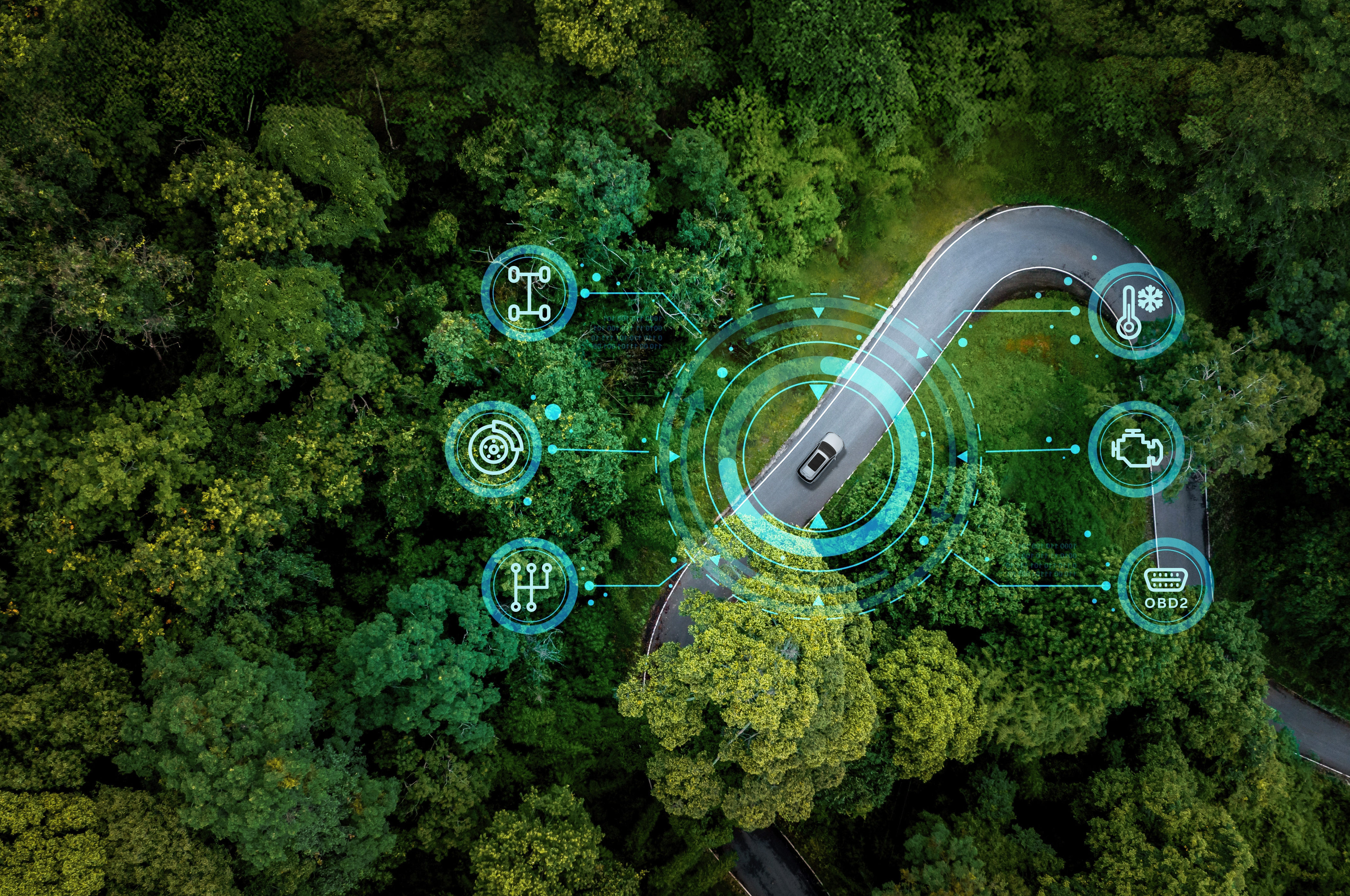 Лето — время приключений! 