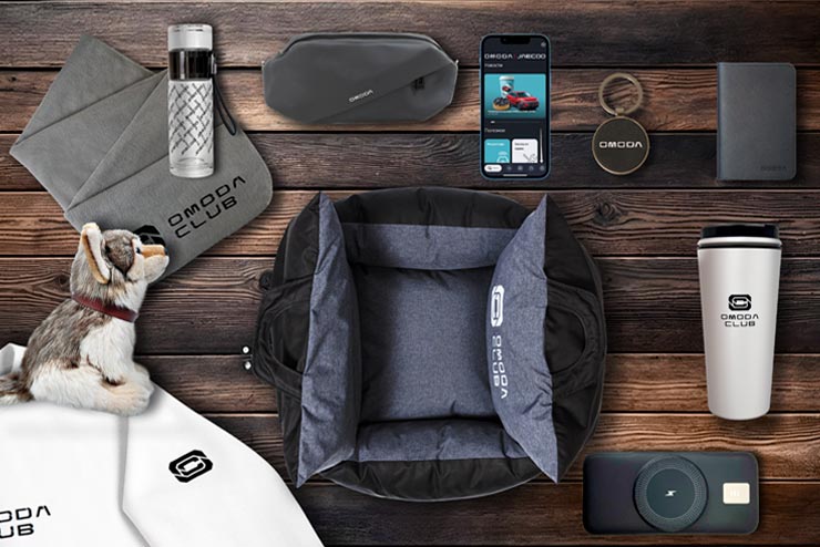 -10% на аксессуары при прохождении ТО