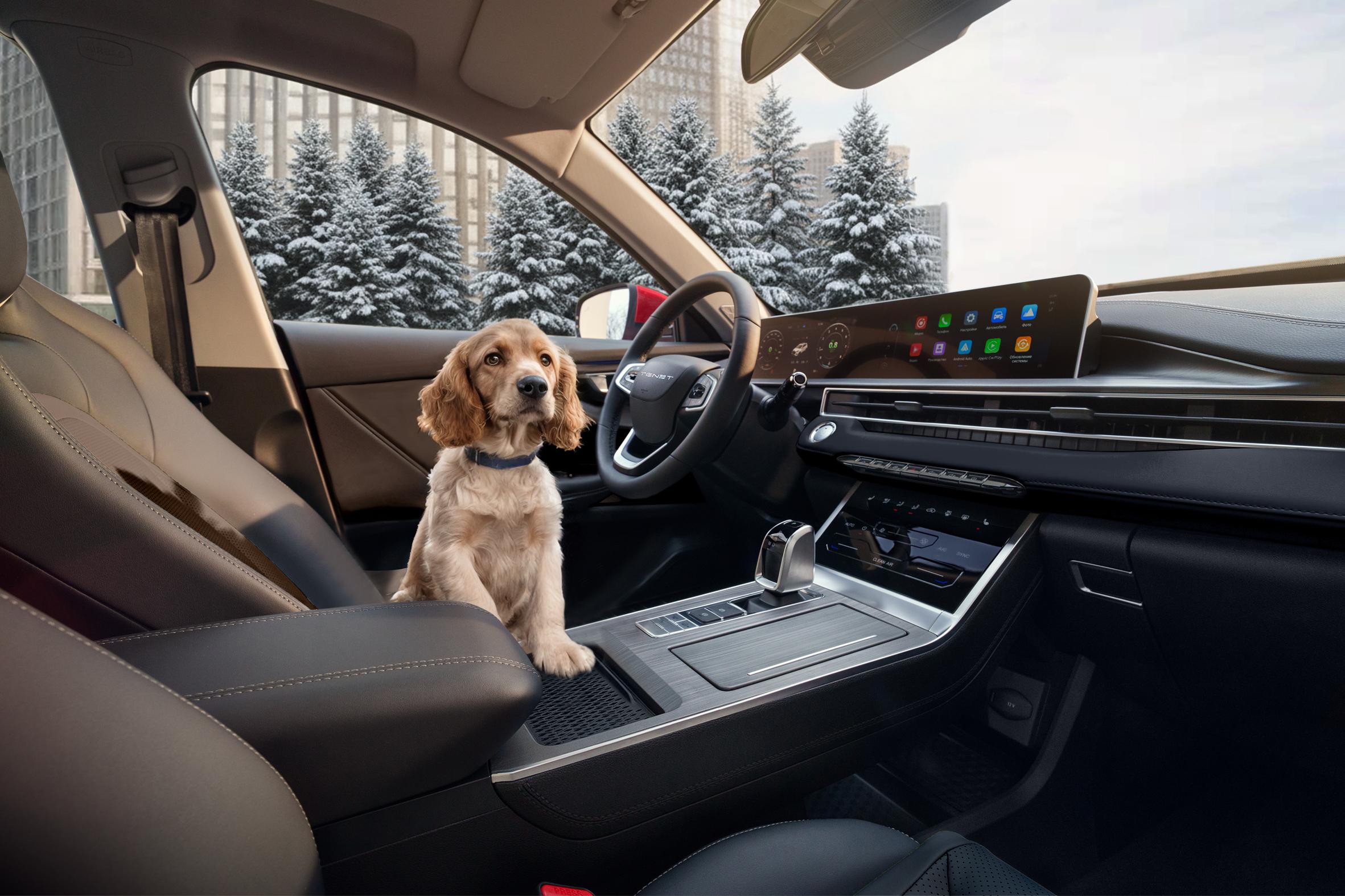 Техподдержка 5 лет