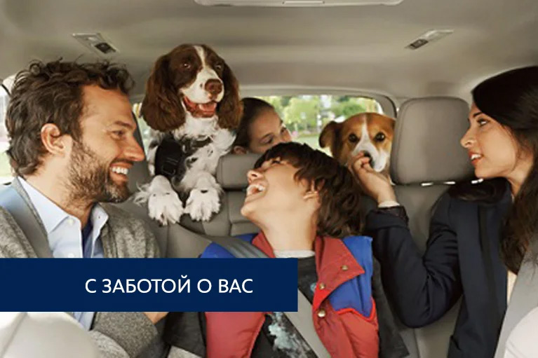 Антибактериальная обработка