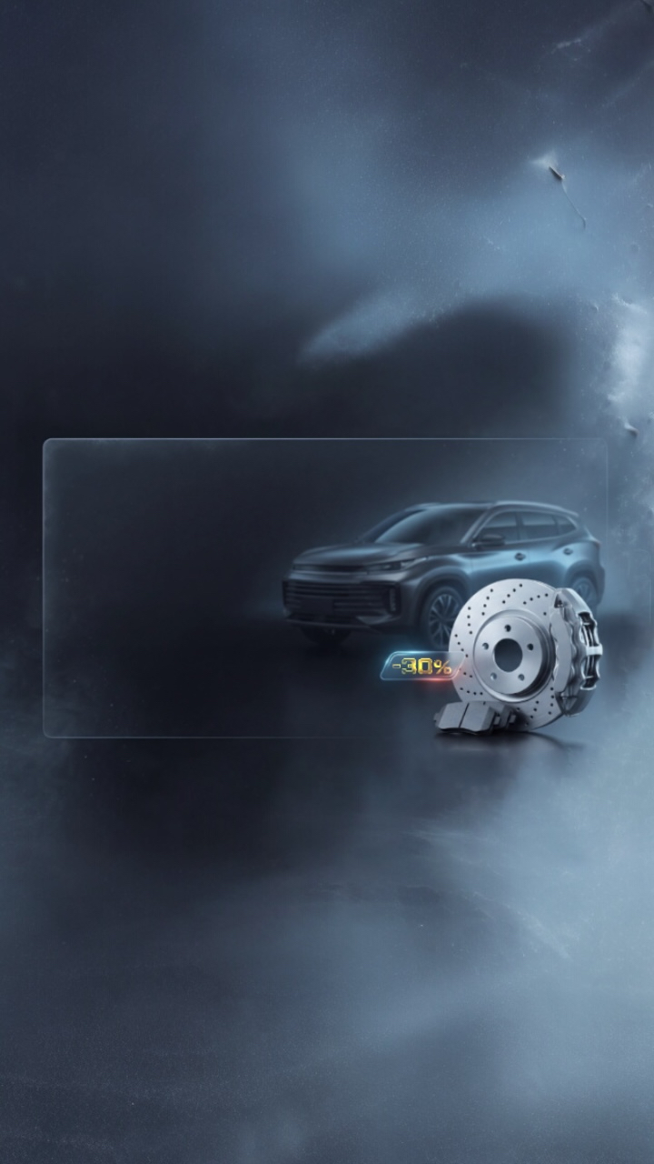 <h1>Тормозные диски и колодки EXEED по специальной цене!</h1>