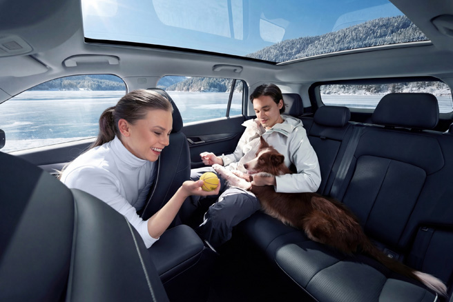 Радует и развлекает пассажиров