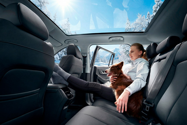 Большая панорамная крыша 1,45 м ²