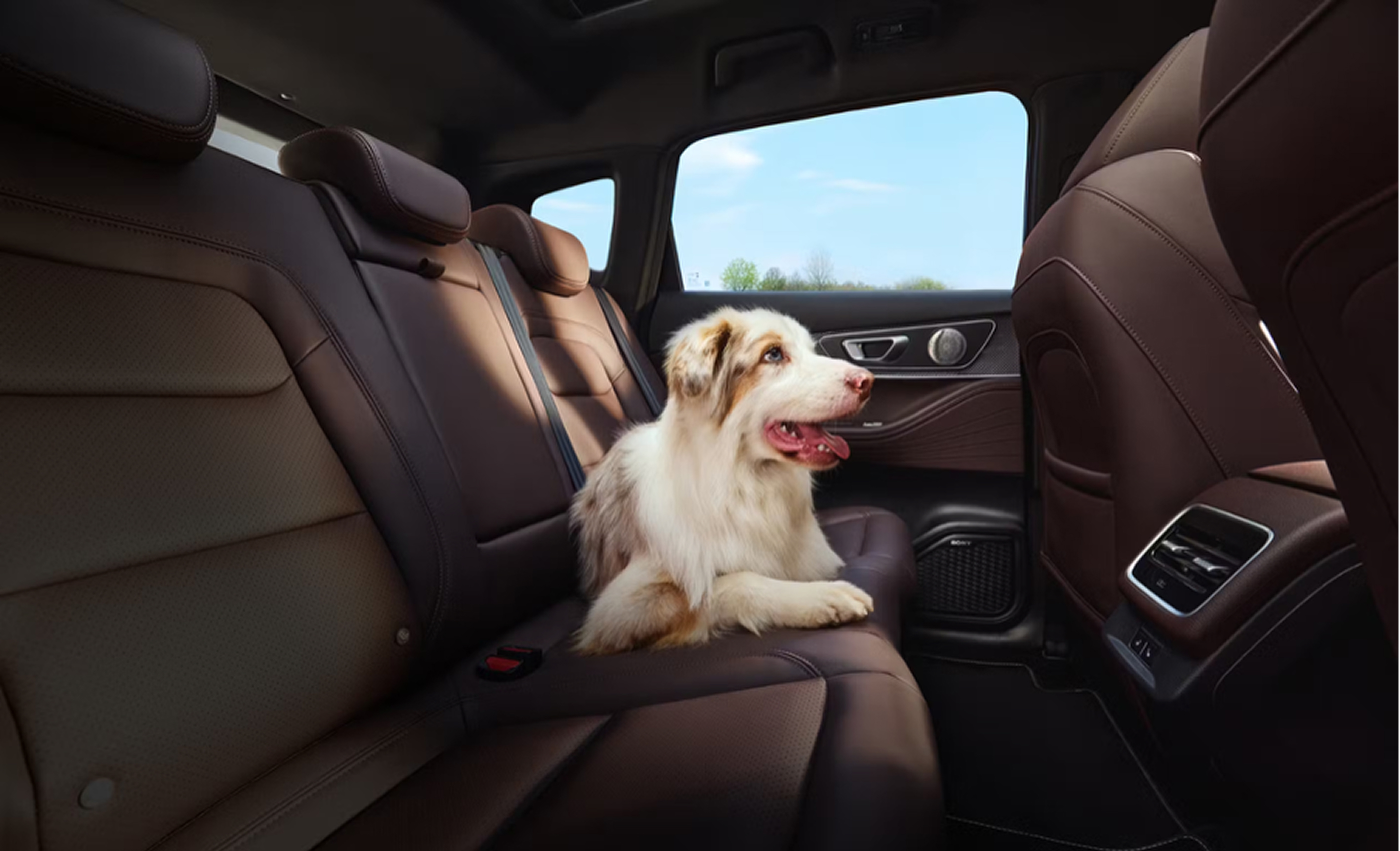 Подход TENET к защите водителя и пассажиров